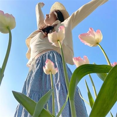 完美家伙
